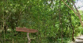 Bakwena Lodge คาซาเนอ ภายนอก รูปภาพ